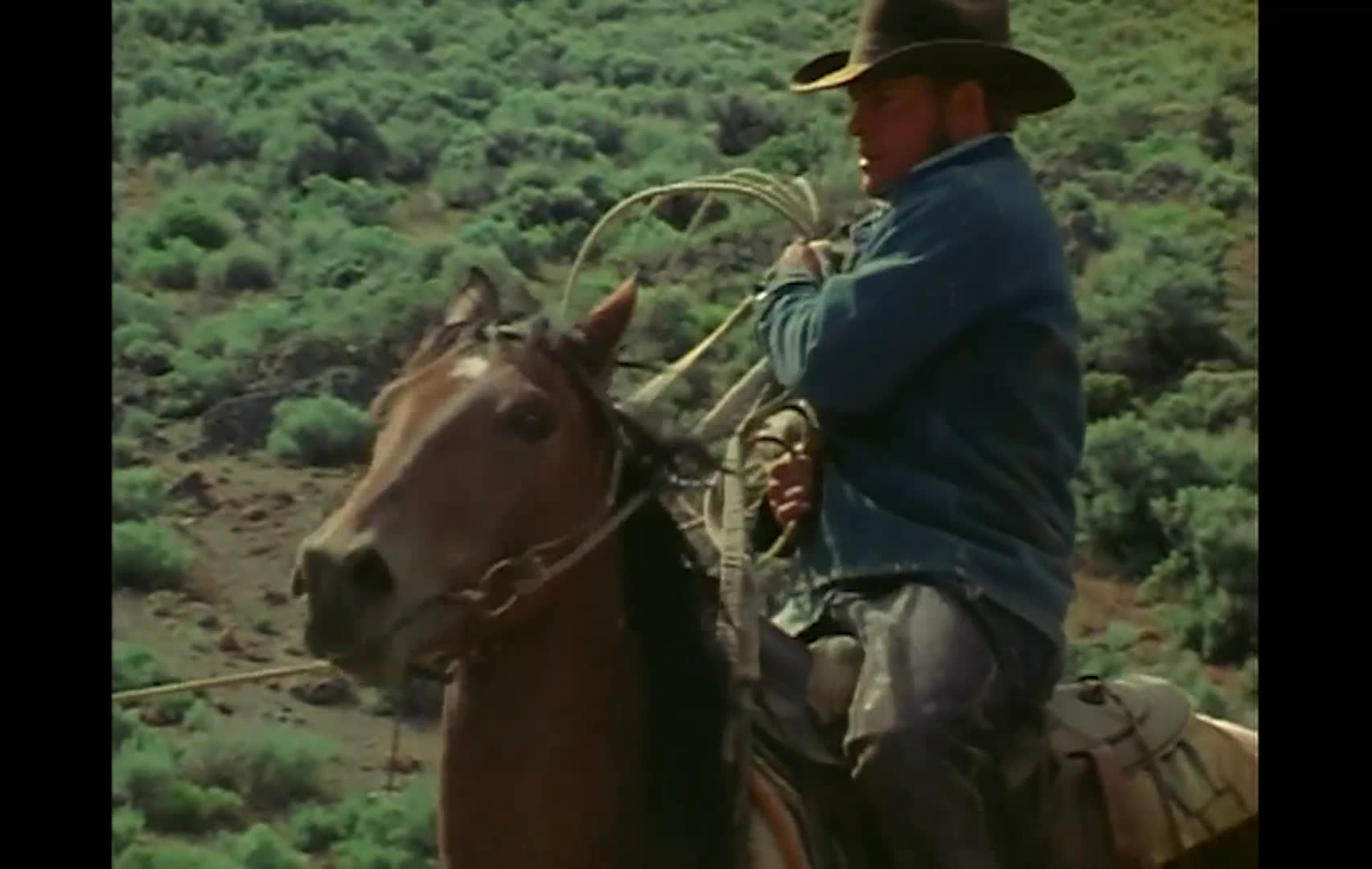 Cowboys gather cattle across an open western range, restrain a calf for ranch work, and ride through sagebrush country. The narration describes the decline of cattle grazing on public lands and the continued importance of ranching to small desert towns.