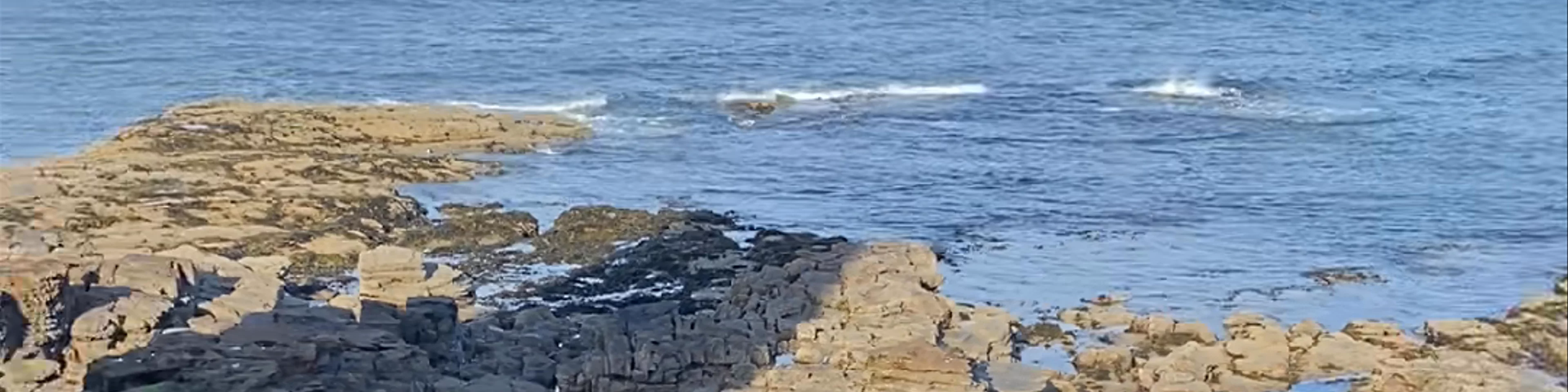 St Mary's Lighthouse