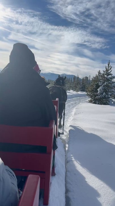 Dashing Thru the Snow - Sledding Near Me - Fraser, Colorado