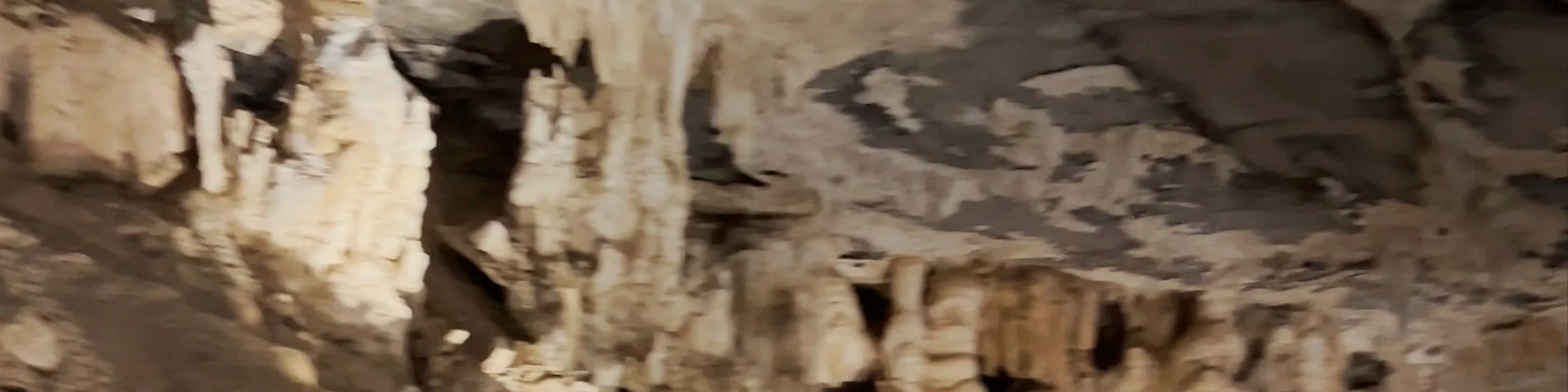 Al Hoota Cave