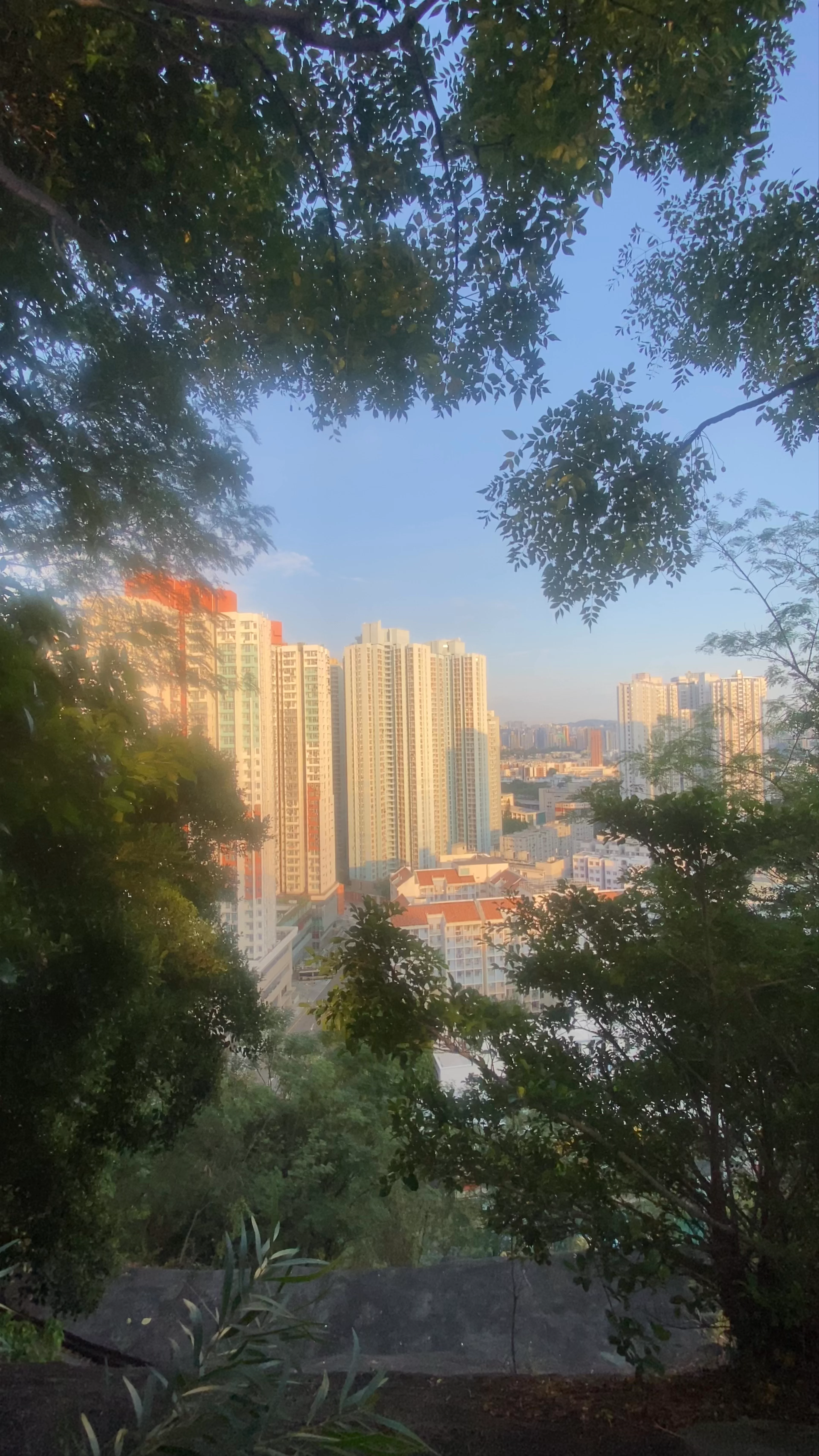 Garden Hill, Shek Kip Mei