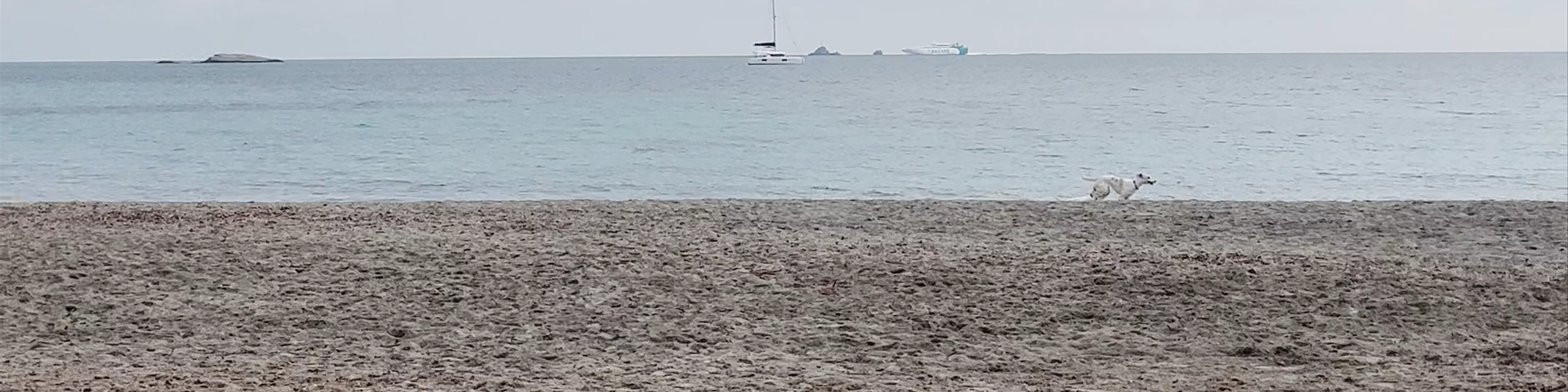 Platja de ses Figueretes