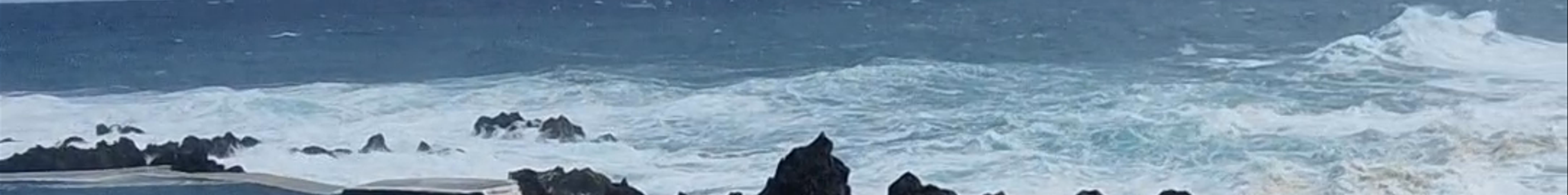 Tours & experiences in Porto Moniz