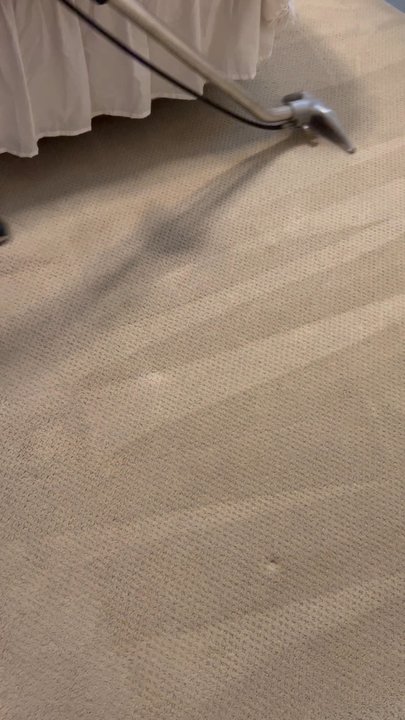 Shinex - Carpet stains removal - Carpet Cleaning Near Me