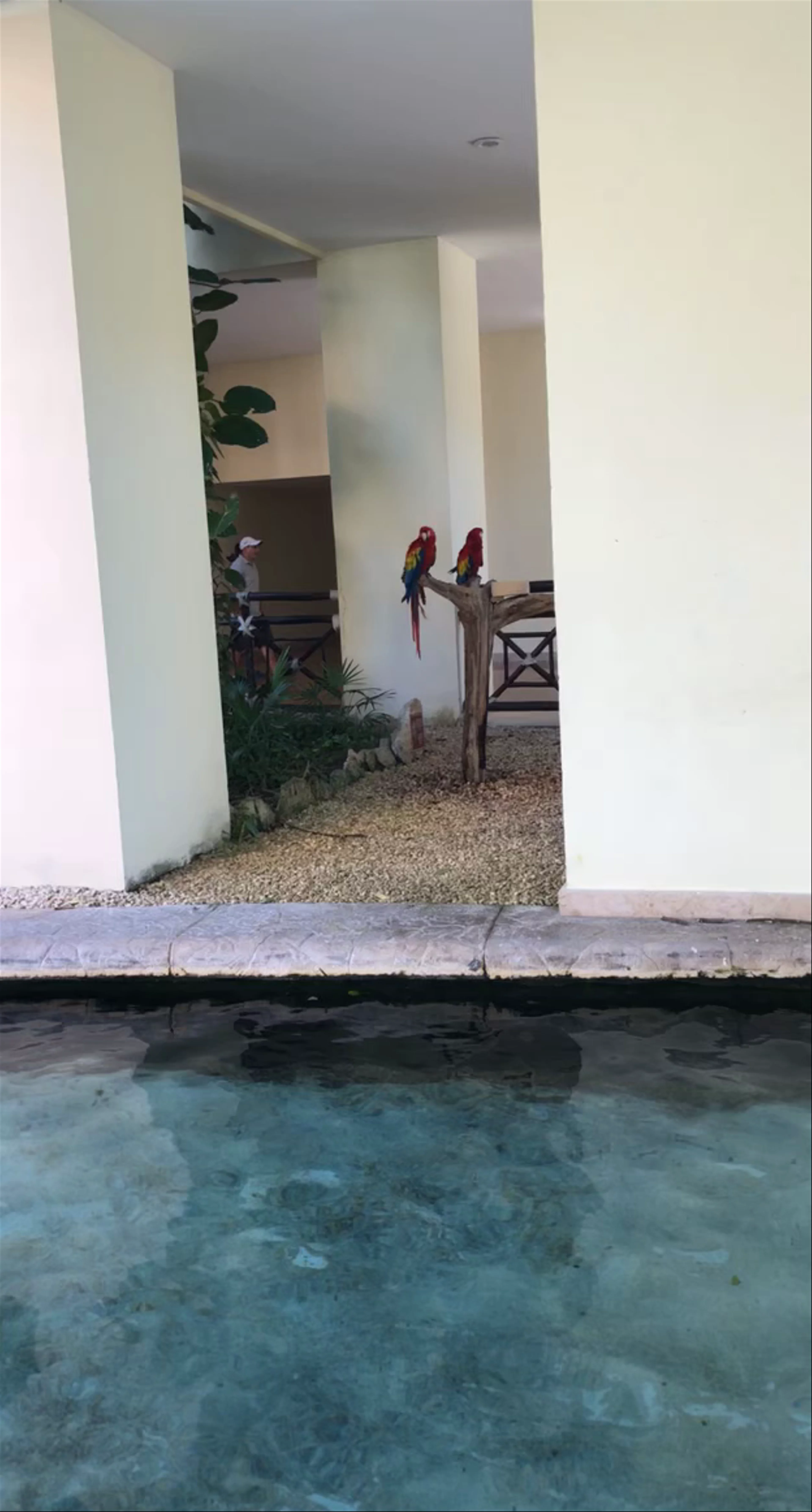 Hotel Xcaret Mexico