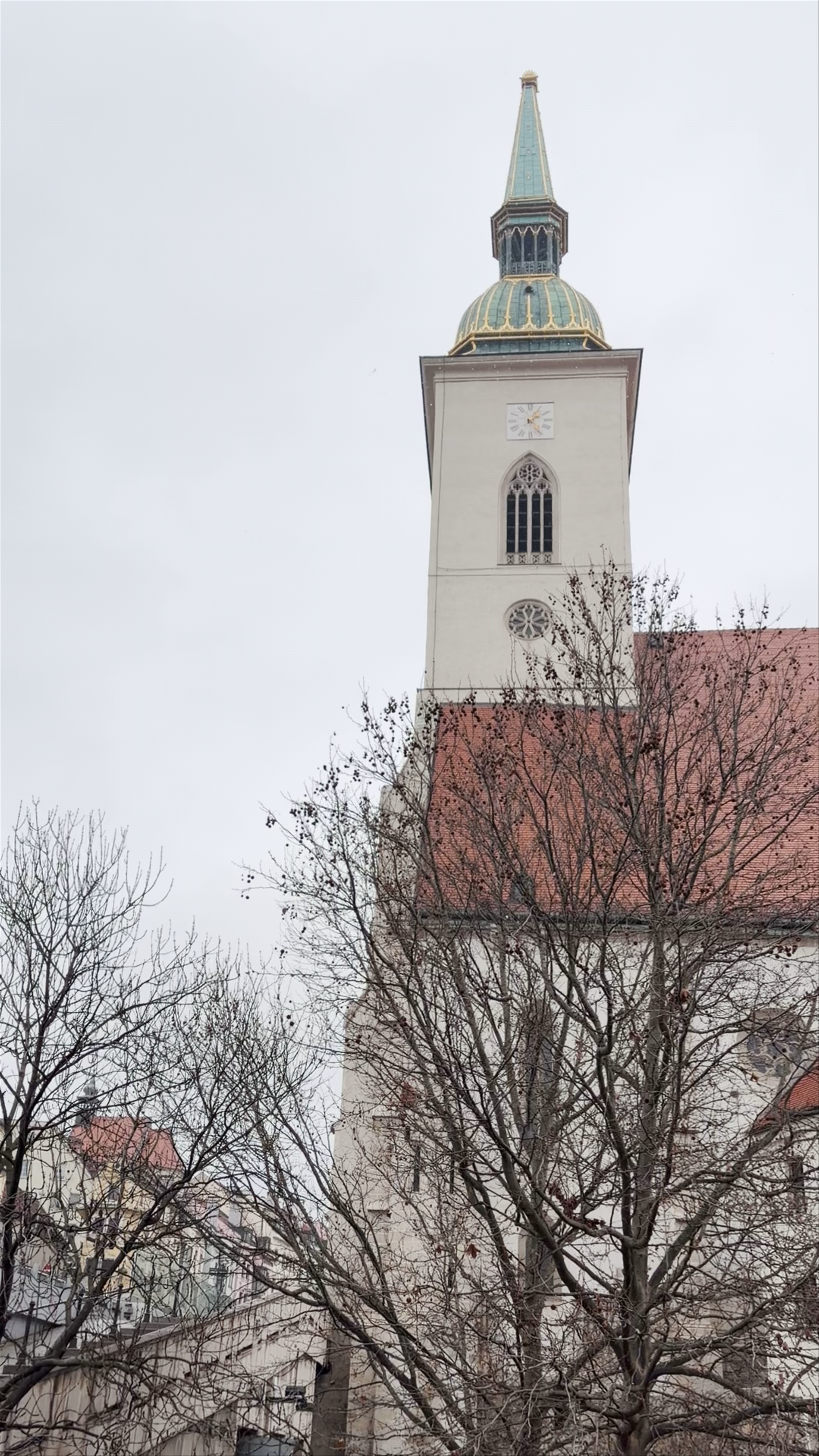 St. Martin's Cathedral