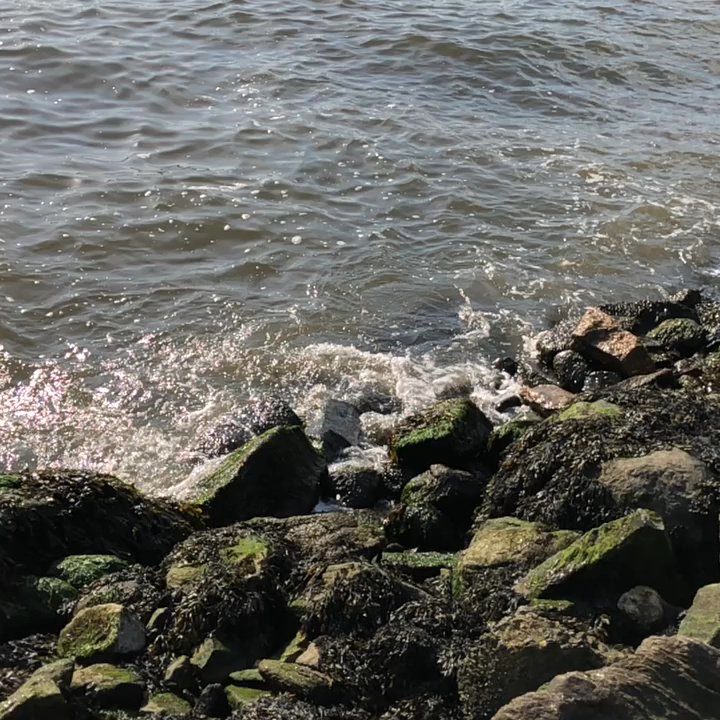 Grand Ferry Park - Parks Near Me - Brooklyn, New York