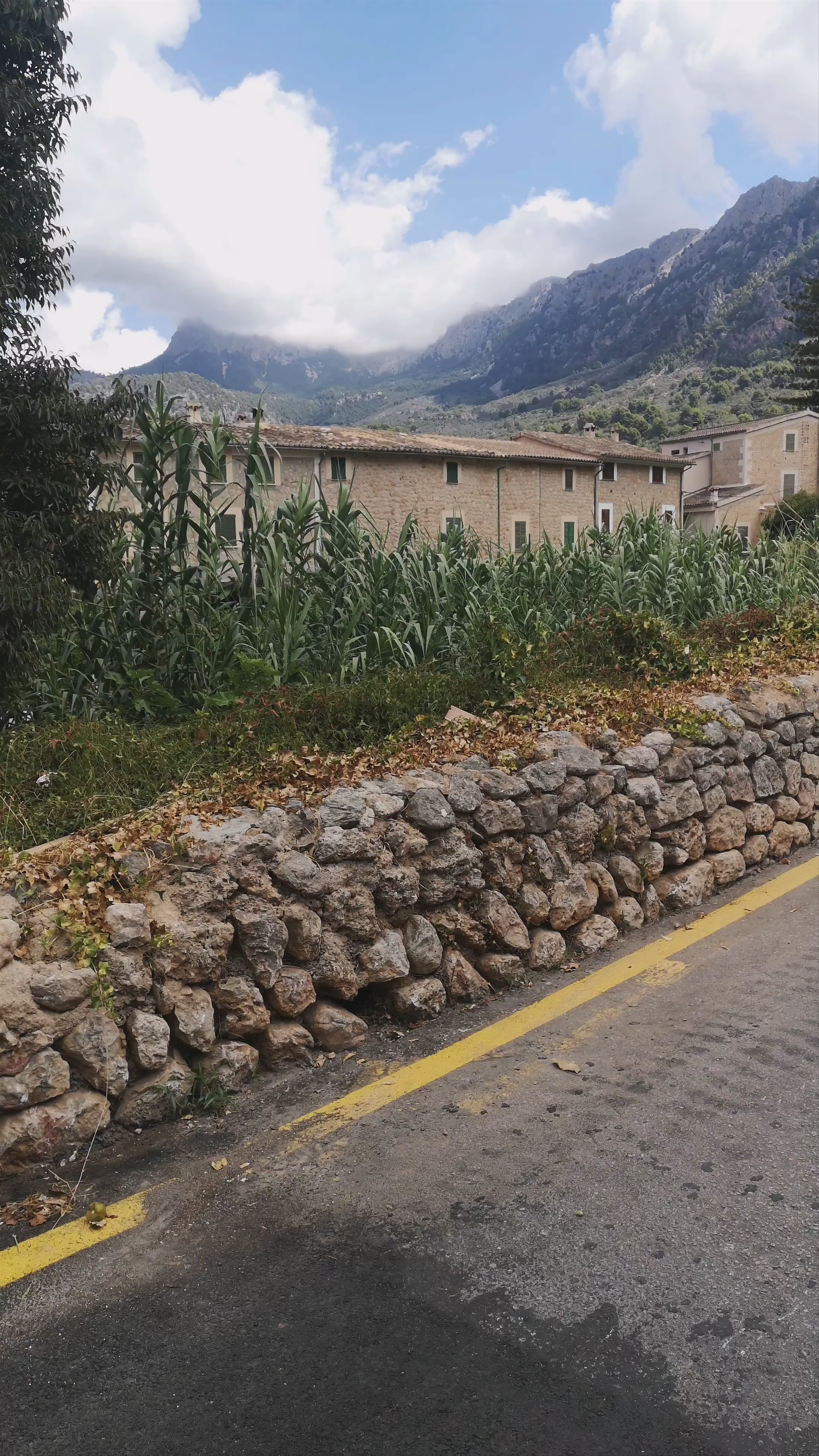 Carrer de l'Alqueria del Comte