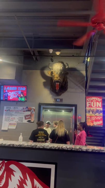 Brickopolis - Mechanical Buffalo Decoration - Laser Tag Near Me - Oklahoma City, Oklahoma