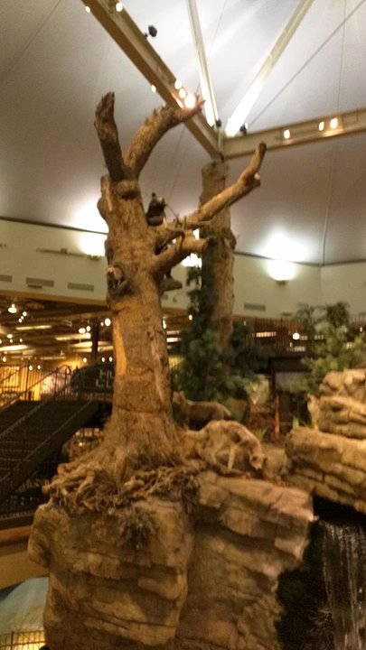Bass Pro Shops - I will never claimed to be a videographer (spelling???) - Outdoor Gear Near Me - Clarksville, Indiana