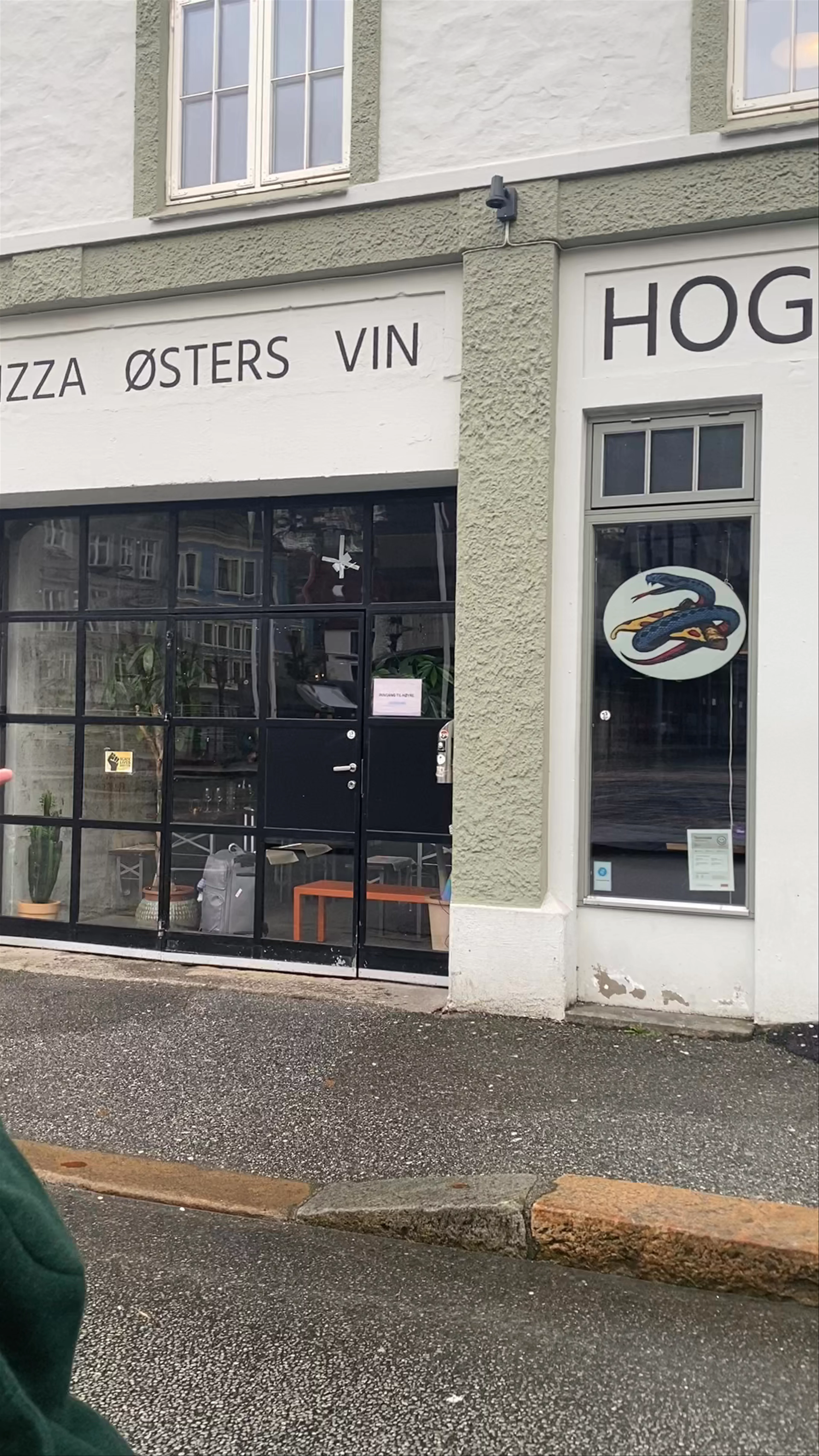 Hoggorm