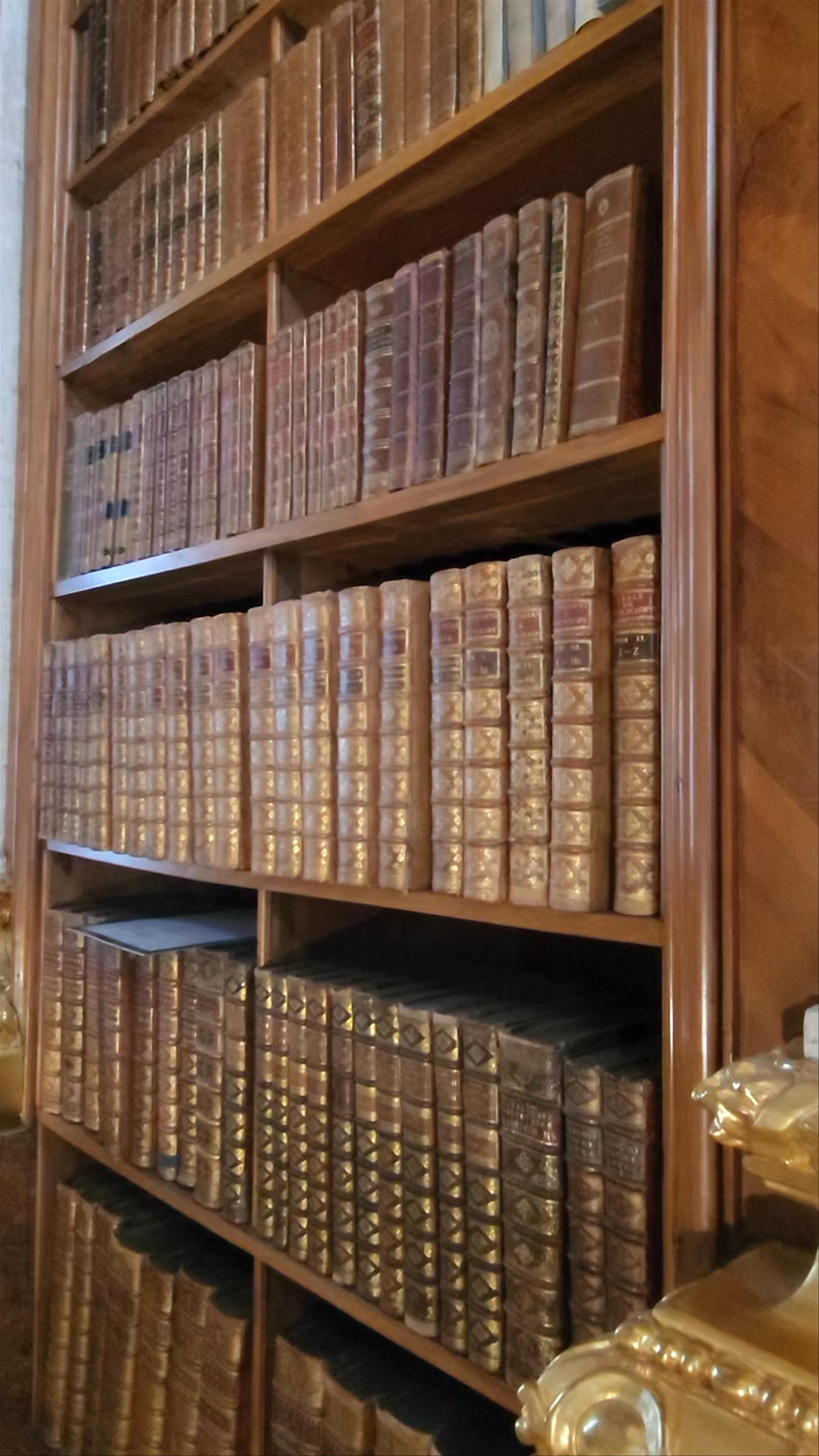 Austrian National Library: A Majestic Journey Through History in Vienna
