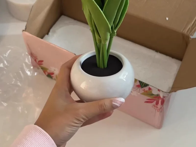 Temu Tulip Night Light