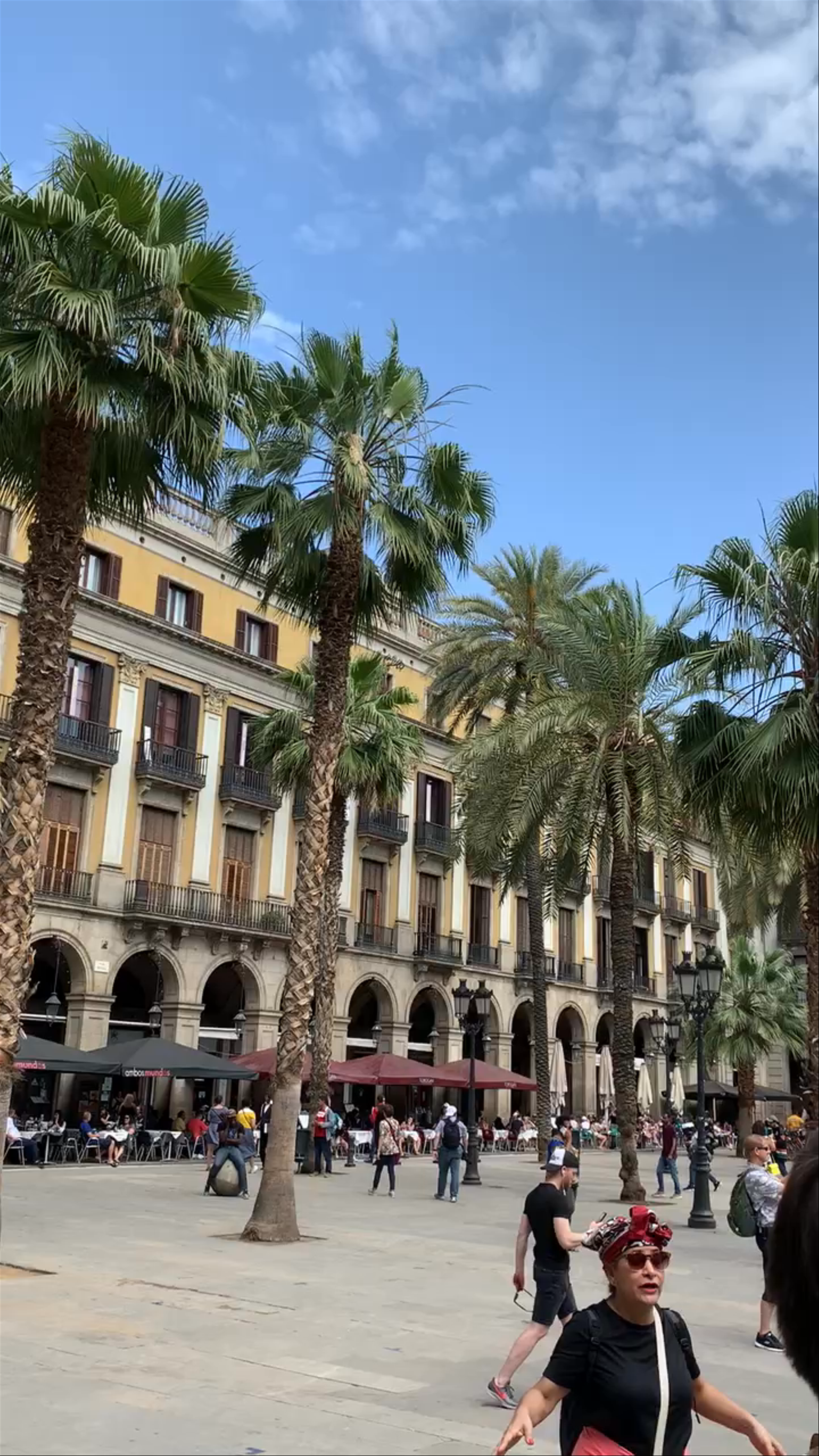 Vibrant Day at Plaza Real, Barcelona