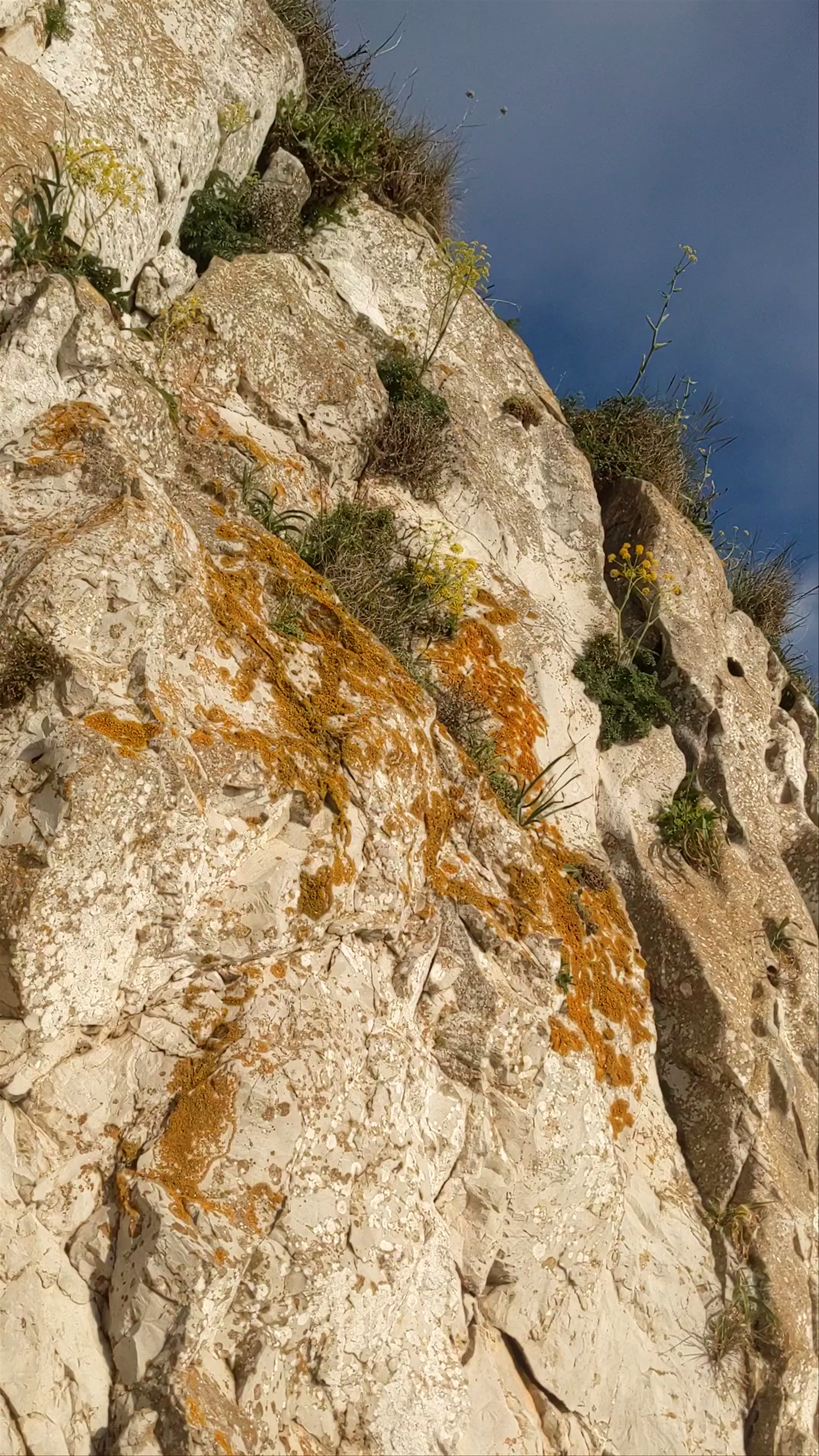 Upper Rock Nature Reserve