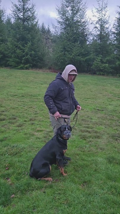 Dynamic Canine Solutions - Will with Dutch - Pet Training Near Me