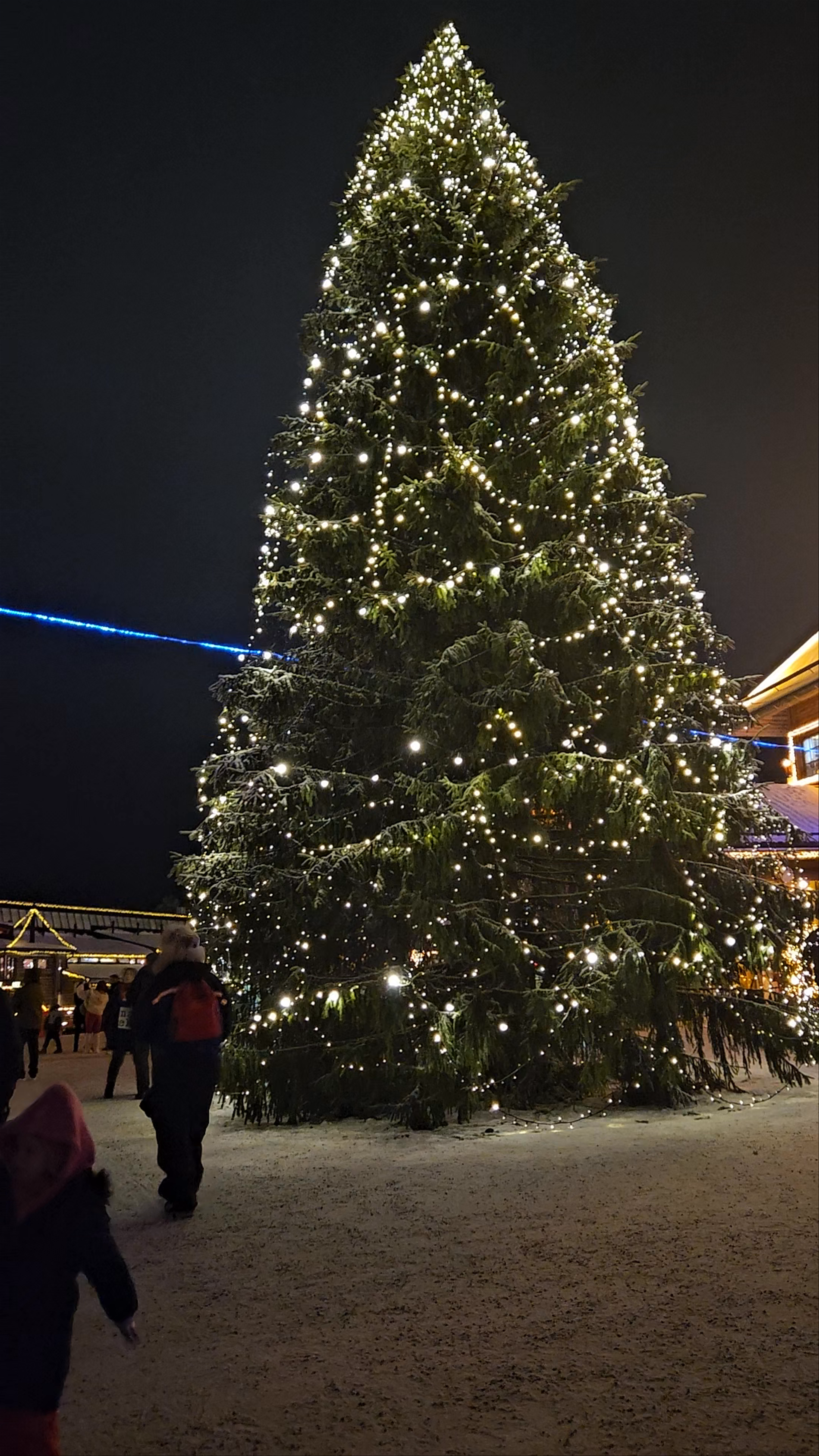 Arctic Circle Information