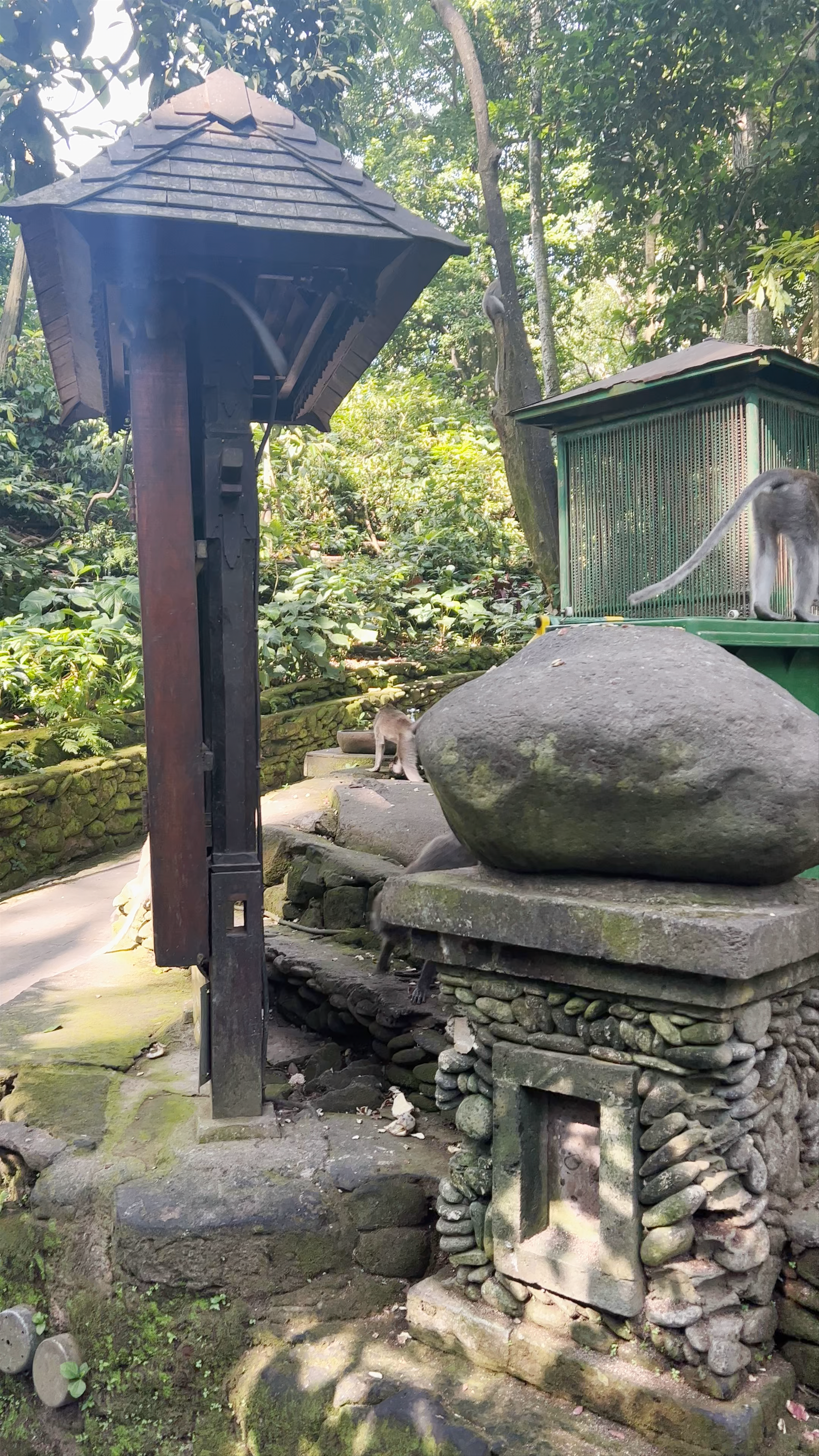 Sacred Monkey Forest Sanctuary