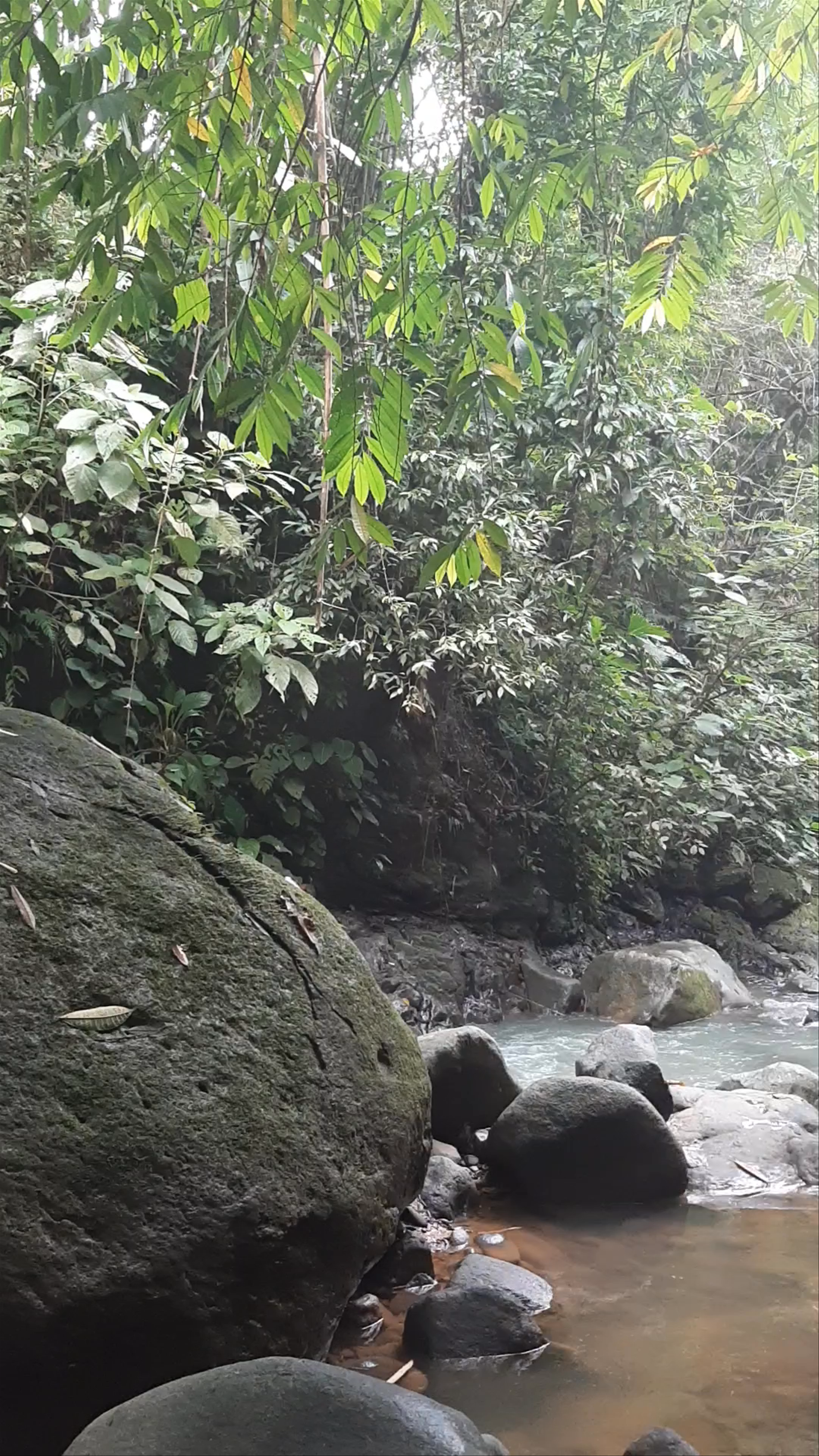 Catarata Uvita: Hidden Tropical Waterfall Escape in Costa Rica