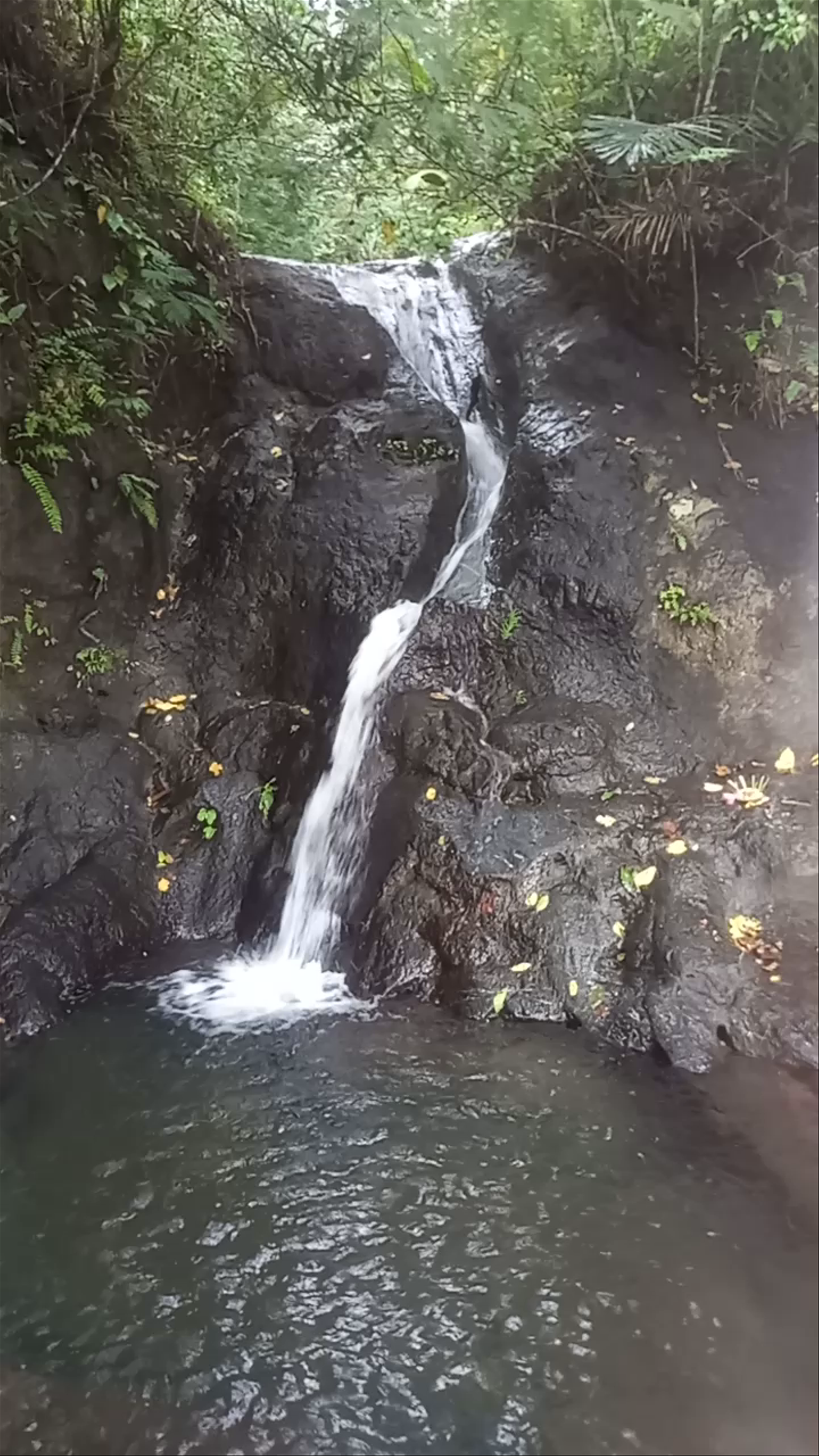 Gembleng Waterfall