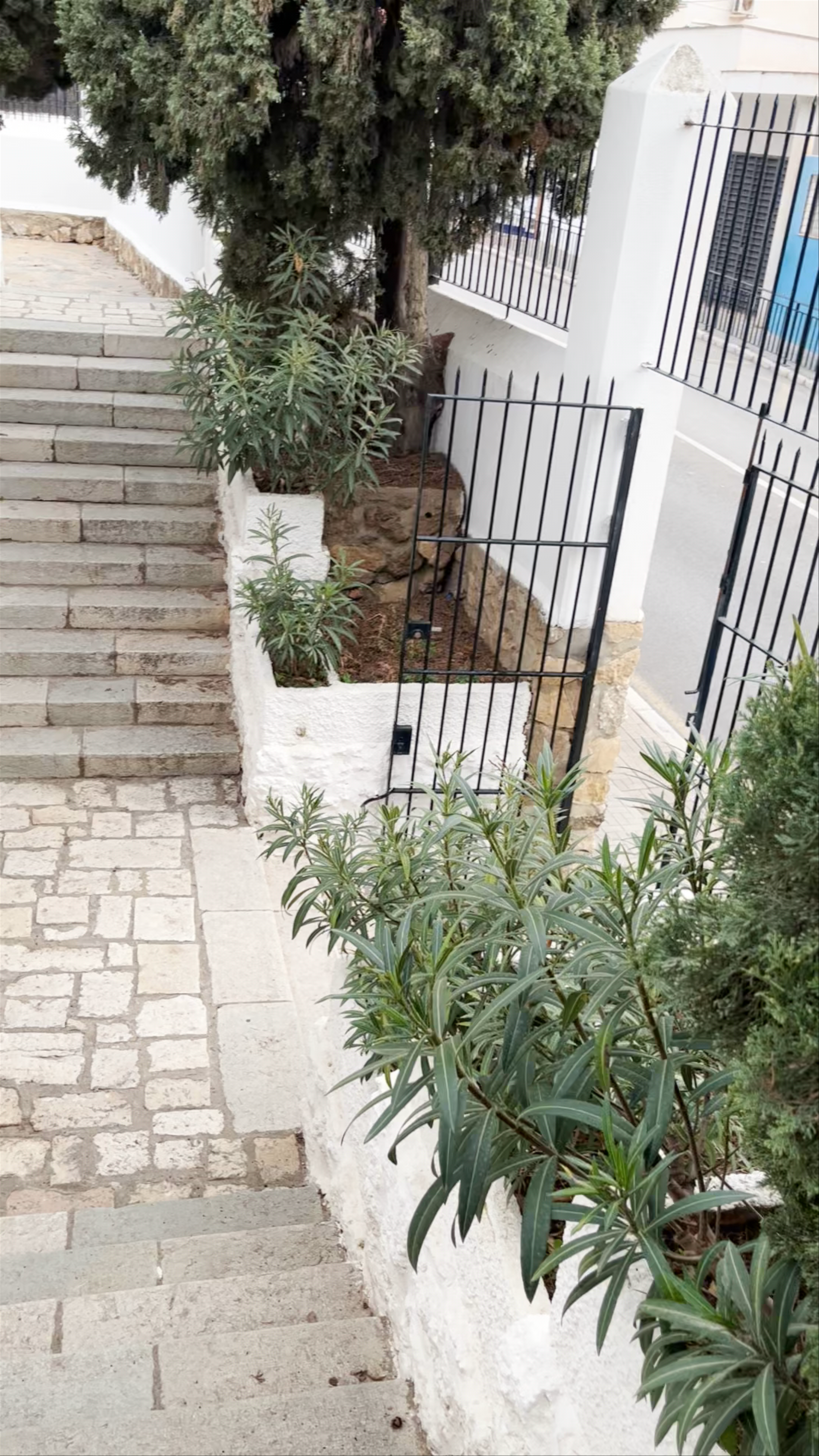 Carmelo de Torremolinos / Carmelitas Descalzas de Montemar