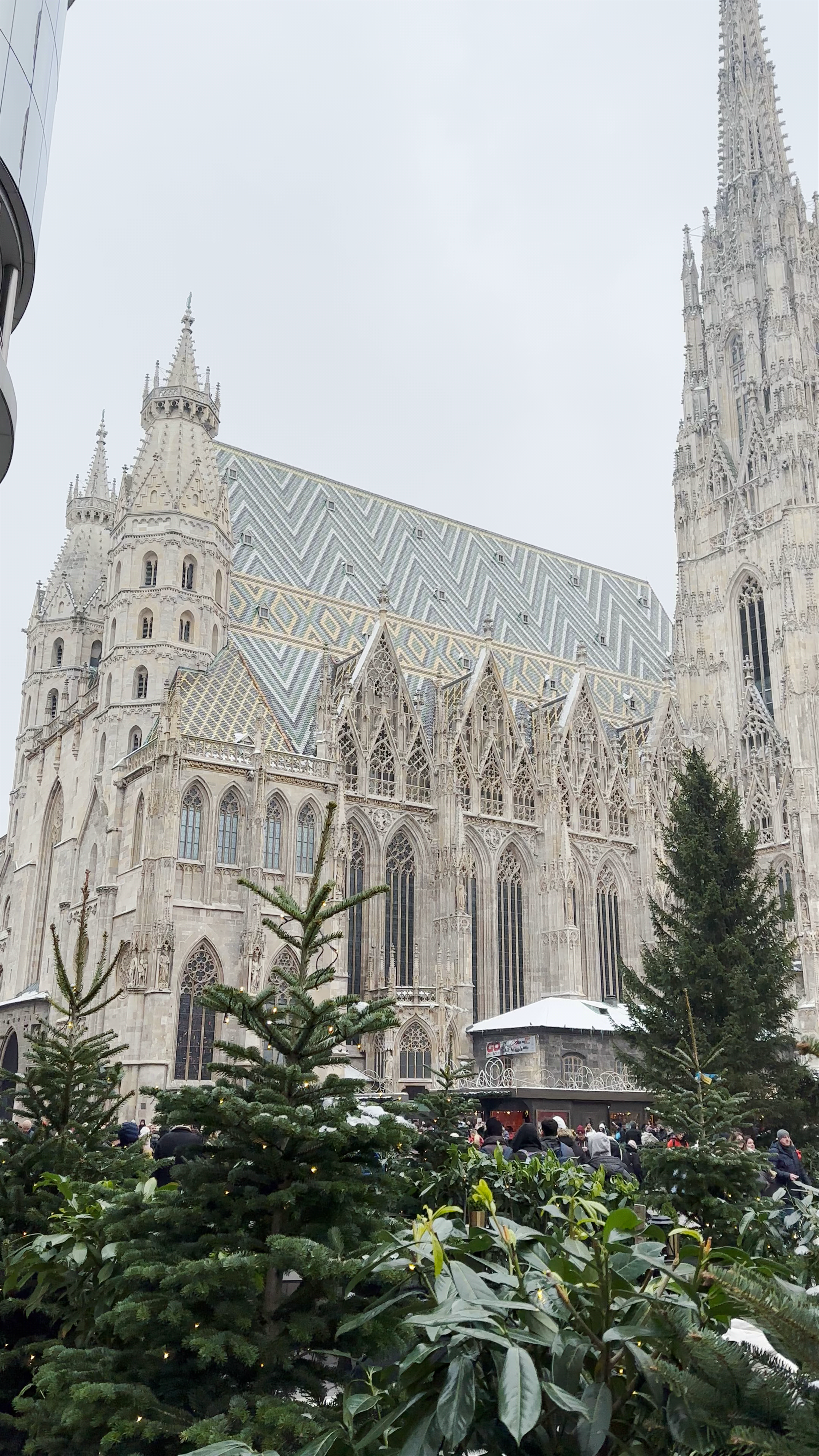 Winter Charm at Stephansdom in Vienna