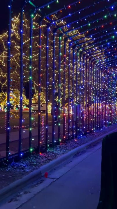 Rotary Lights - Community Service/Non-Profit Near Me - La Crosse, Wisconsin