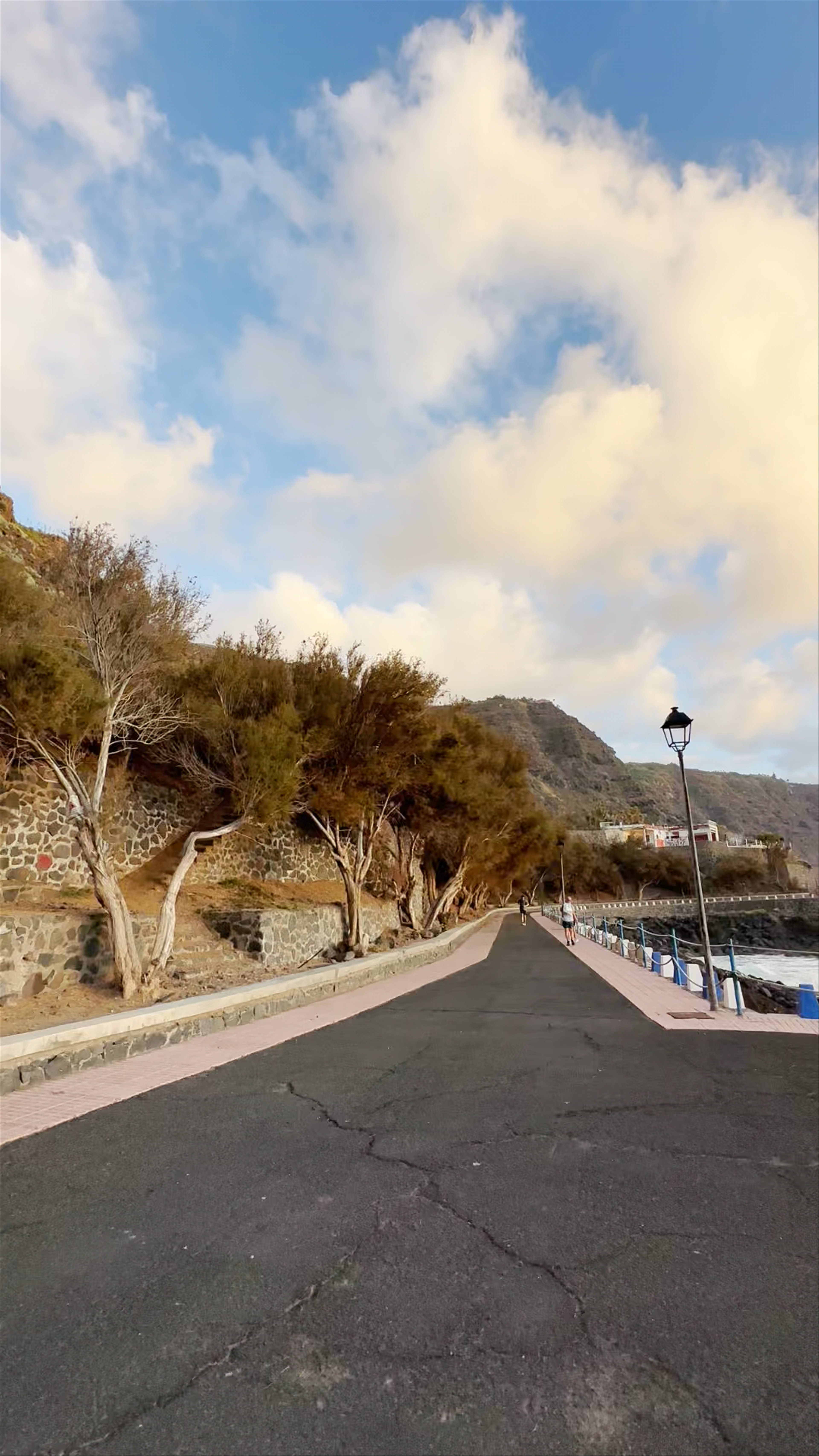 Canasta Baloncesto Mesa del Mar