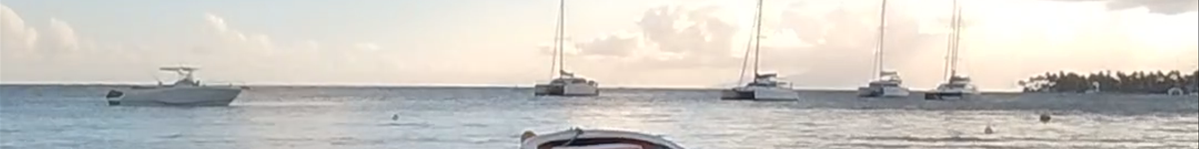 Tours & experiences in Guadeloupe