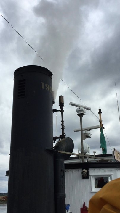 Harbor Days - Toot toot...time to sail on the Virginia V. - Festivals Near Me - Olympia, Washington