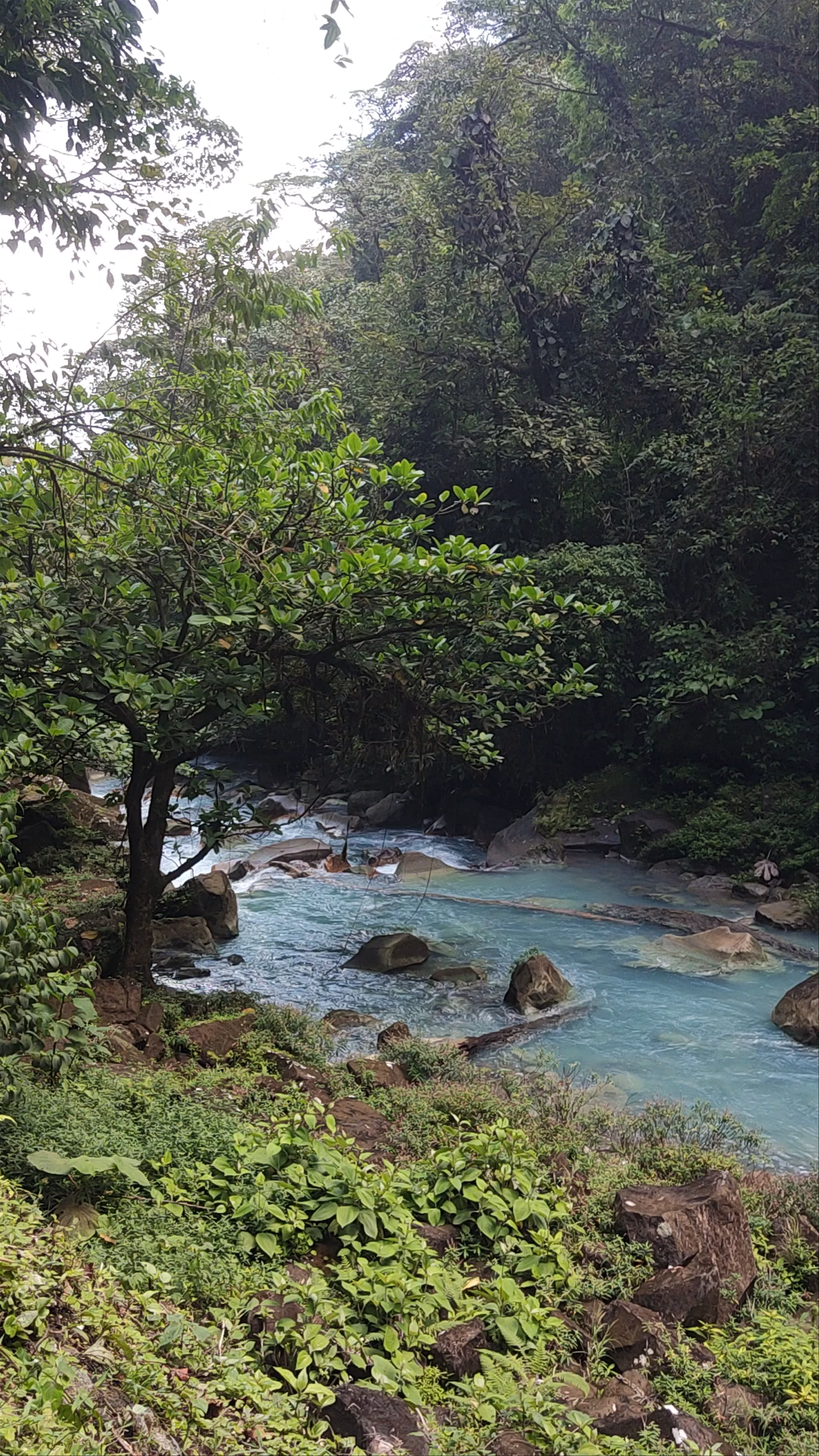 Río Celeste