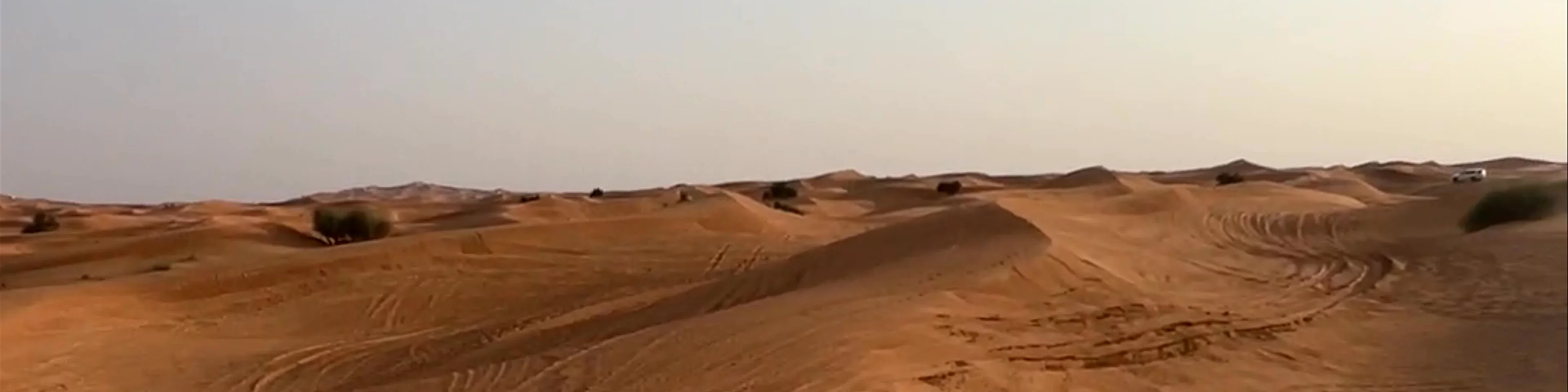 Desert Safari Dubai - Dubai - United Arab Emirates