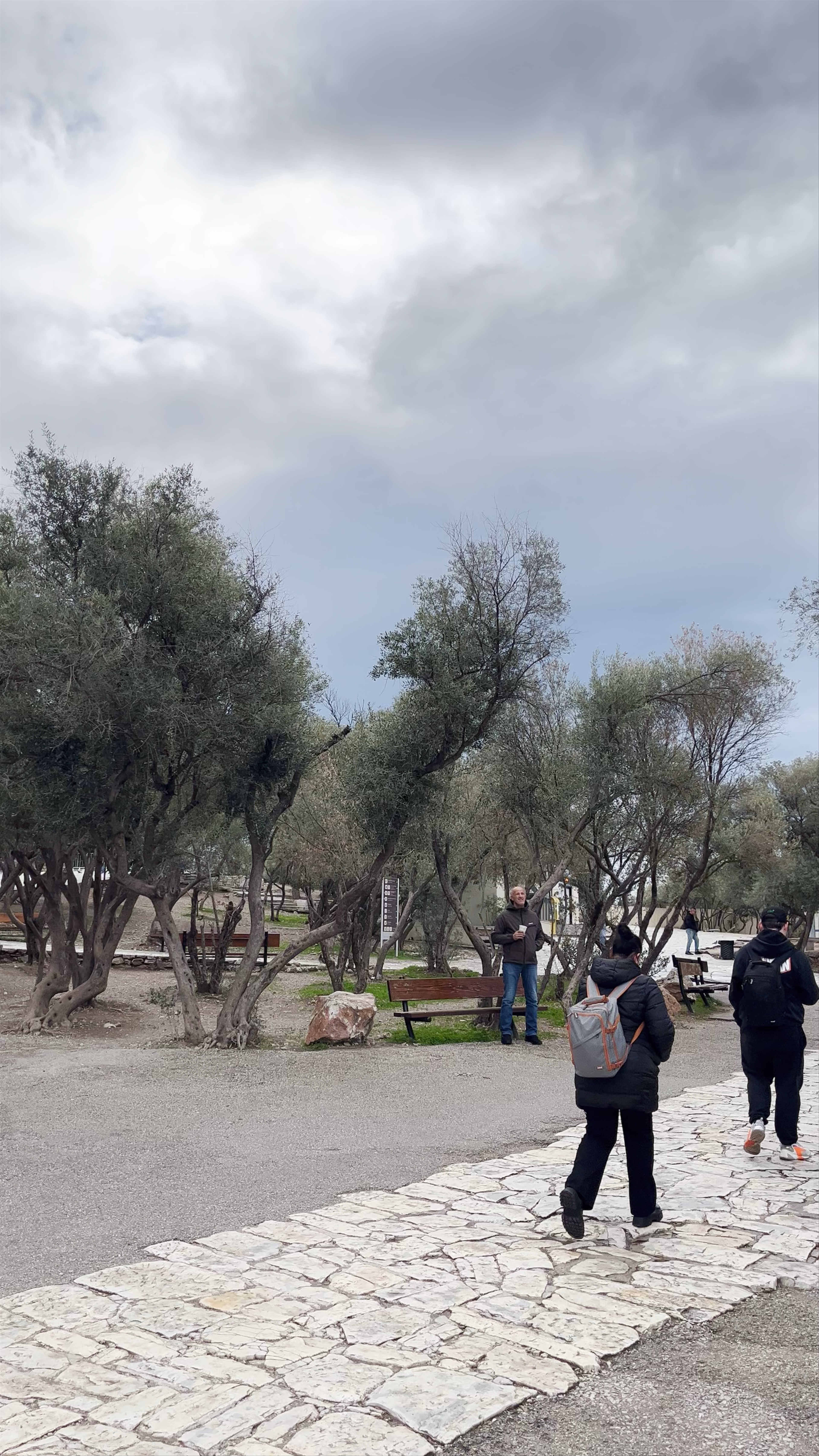 Winter Walk Through Thiseio, Athens – Olive Groves and Ancient Vibes