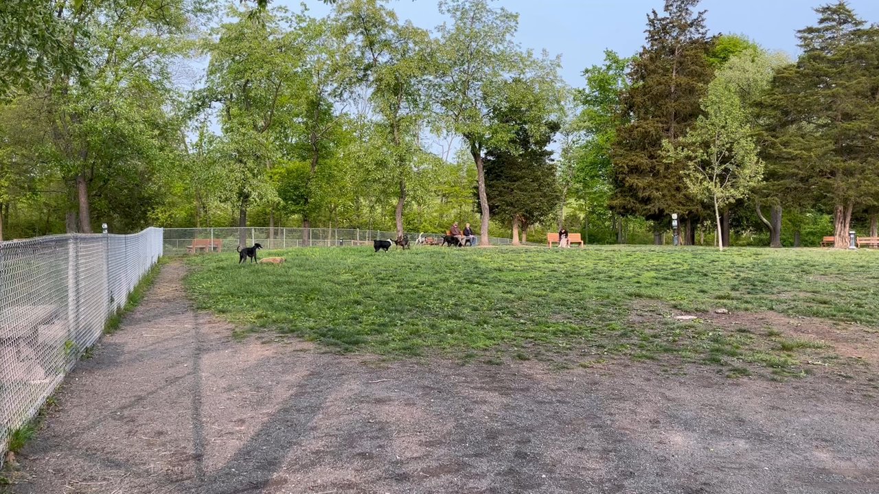 Gettysburg Dog Park - My friends! - Dog Parks Near Me - Gettysburg, Pennsylvania