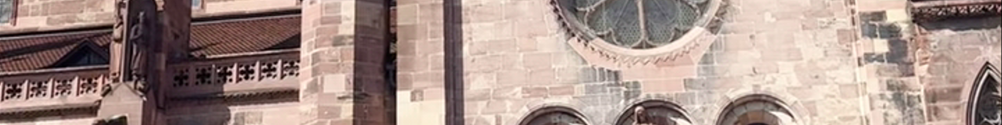 Tours & experiences in Freiburg