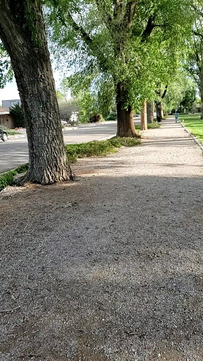 Bataan Memorial Park - Parks Near Me - Albuquerque, New Mexico
