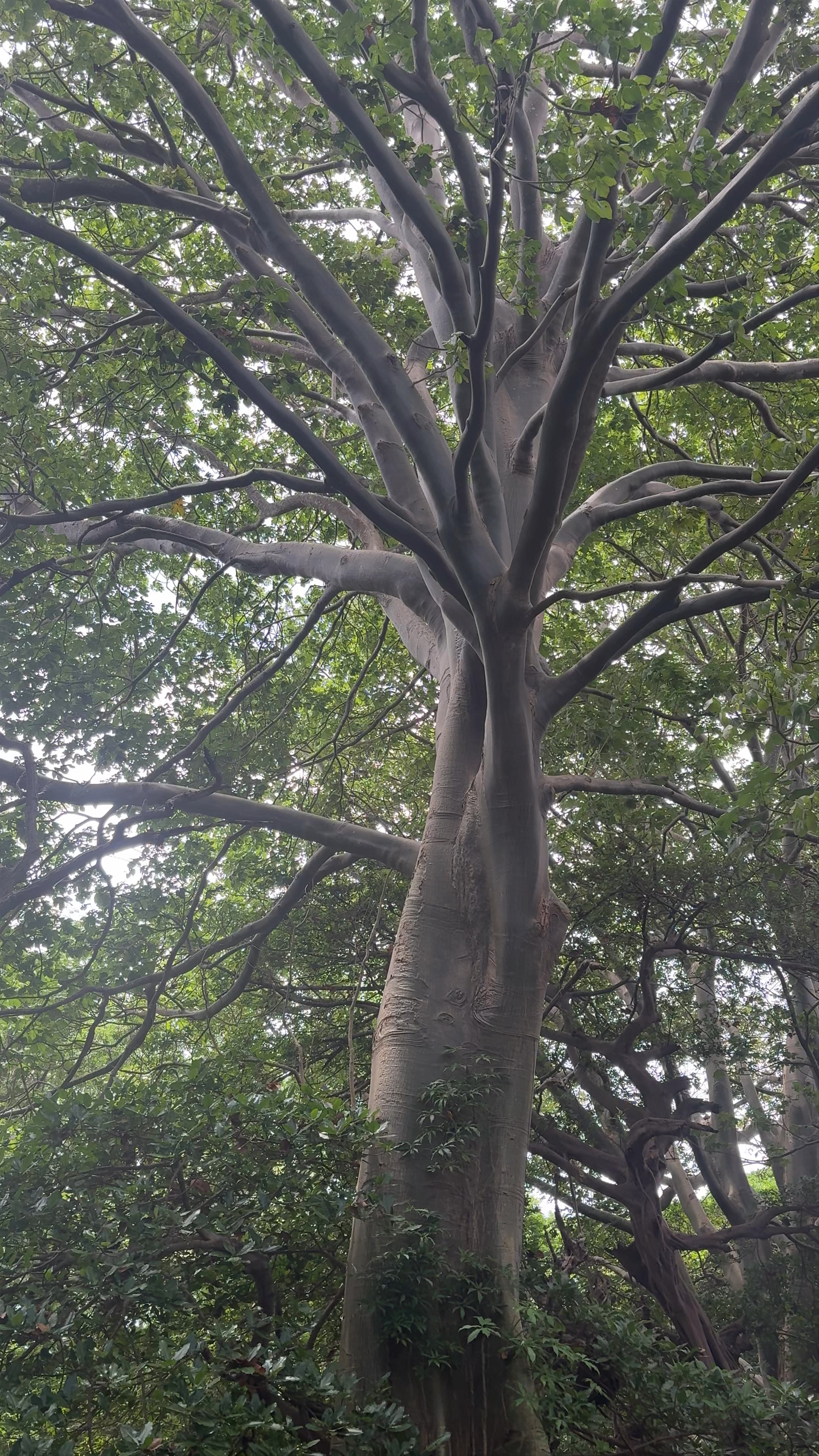 Charco Verde Park & Butterfly Aviary