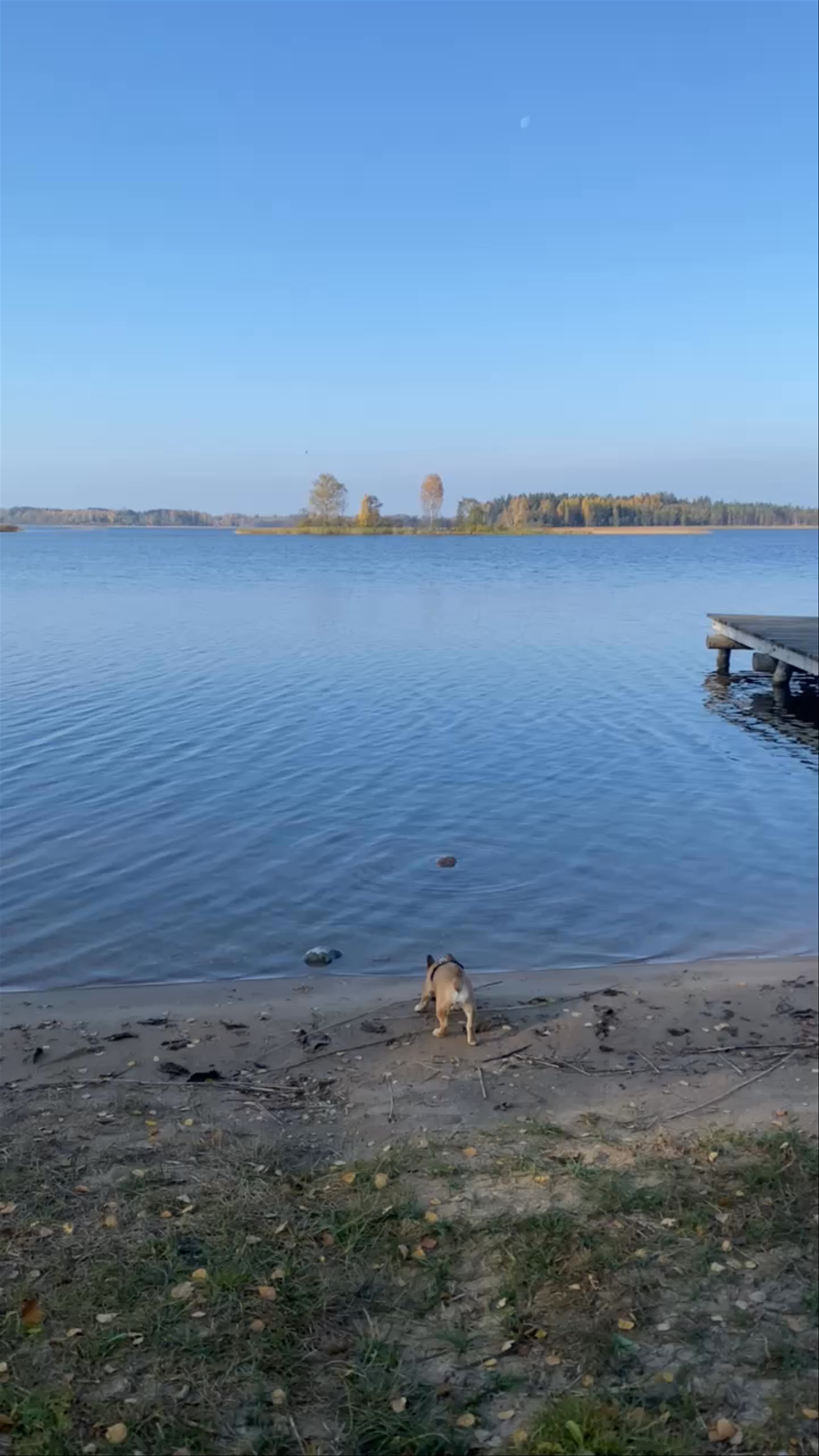 Peaceful Lakeside Escape at Vecāķi Beach, Riga
