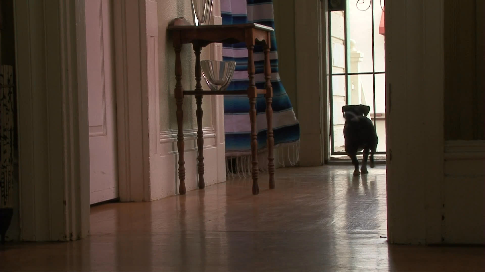 Two dogs interact playfully on a red bed before a woman speaks to the camera in a home setting. Subsequently, one of the dogs moves through the residence to the front gate outside.