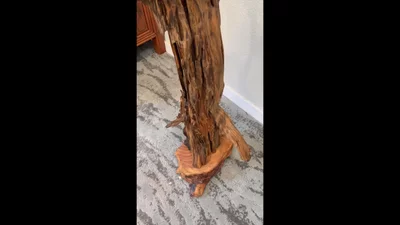 Preview image for video