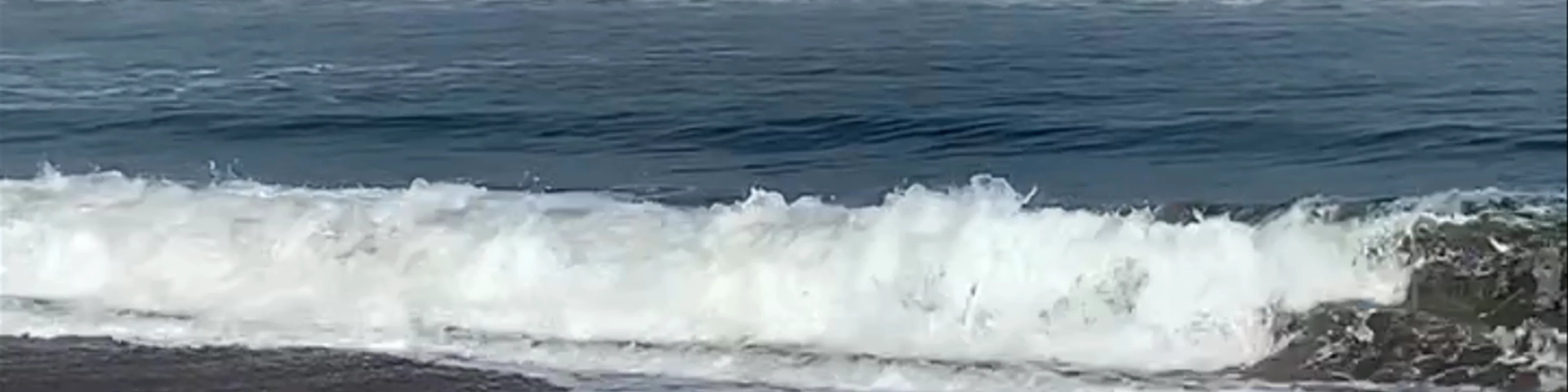 Punta Teatinos Humedal - Punta de Teatinos