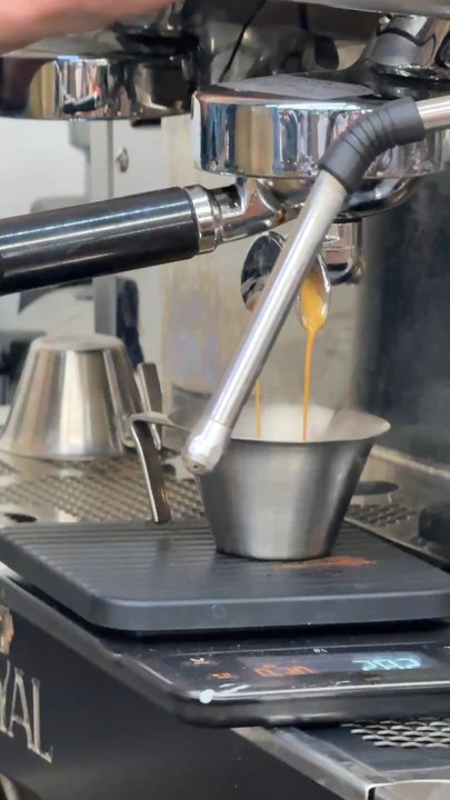Wagon Wheel - Espresso shot - Coffee Roasteries Near Me - Lithia, Florida