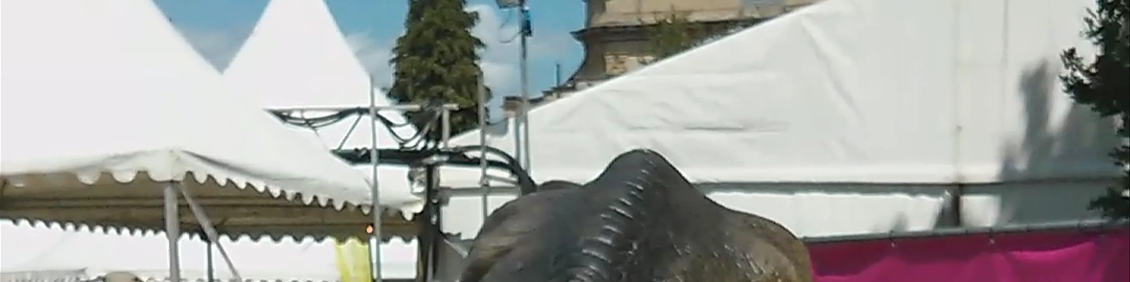 Cheltenham Festivals