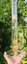 Small image 8