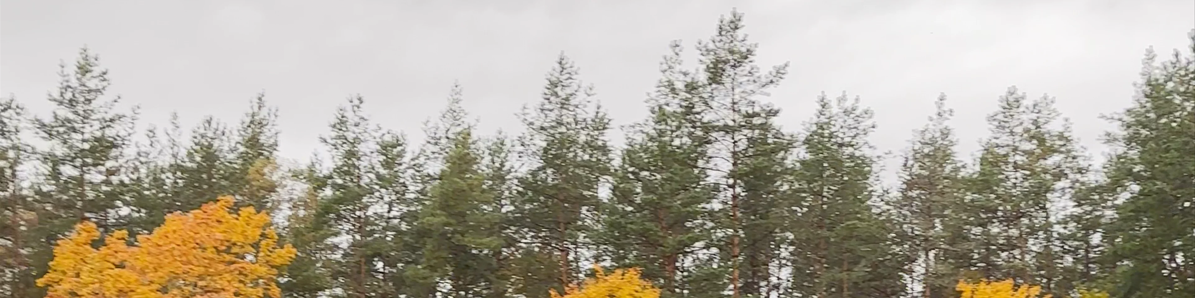Elniakampio sodyba