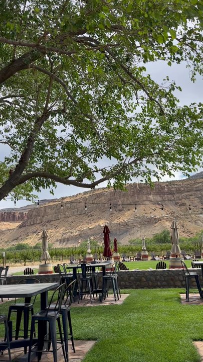 Colterris Winery - Wine Tours Near Me - Palisade, Colorado