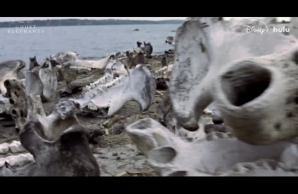Bande-annonce en anglais