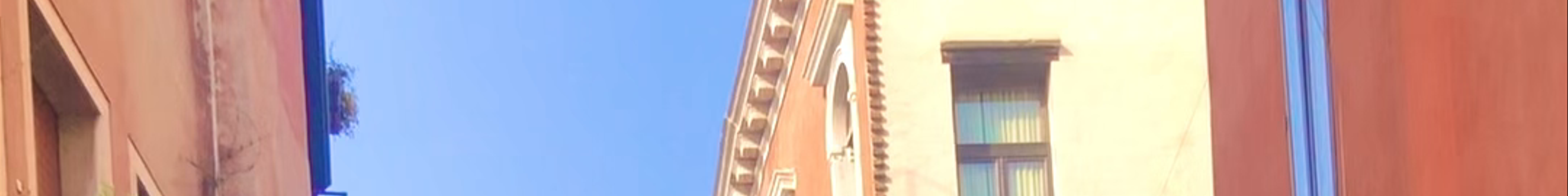 Tours & experiences in Venice