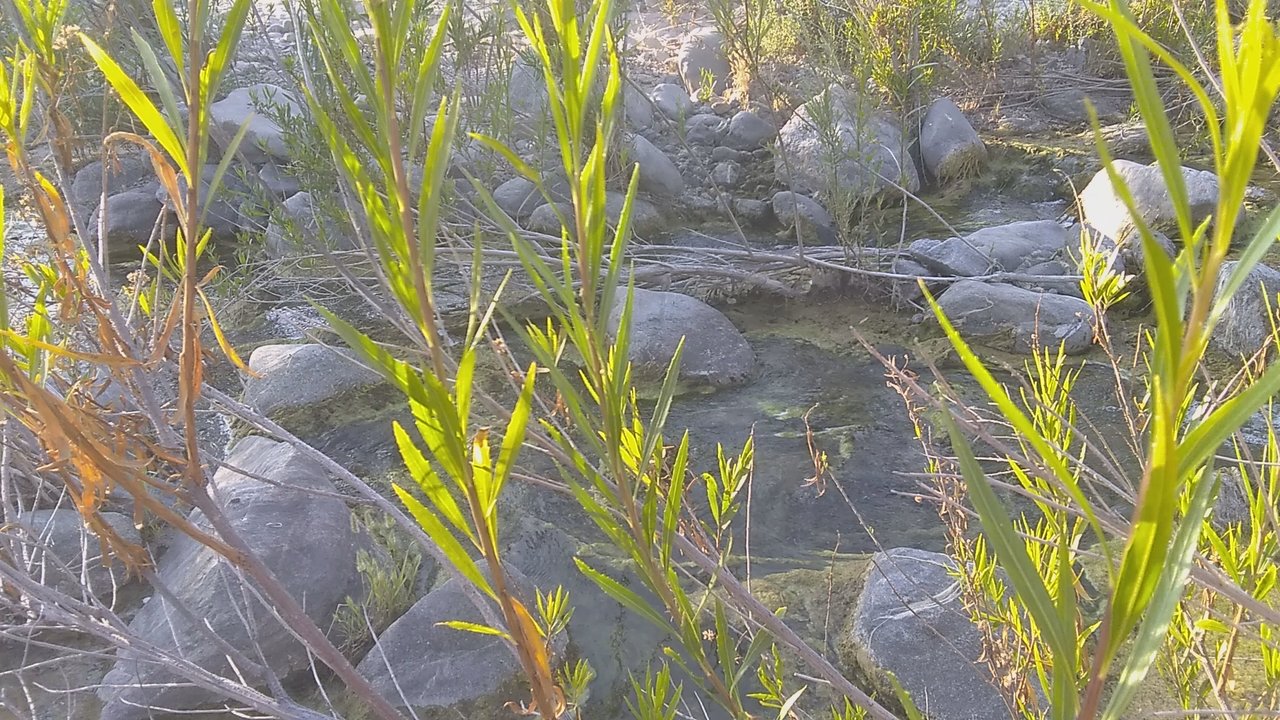 Big Tujunga Canyon - Beautiful way to end the day - Hiking Near Me - Los Angeles, California
