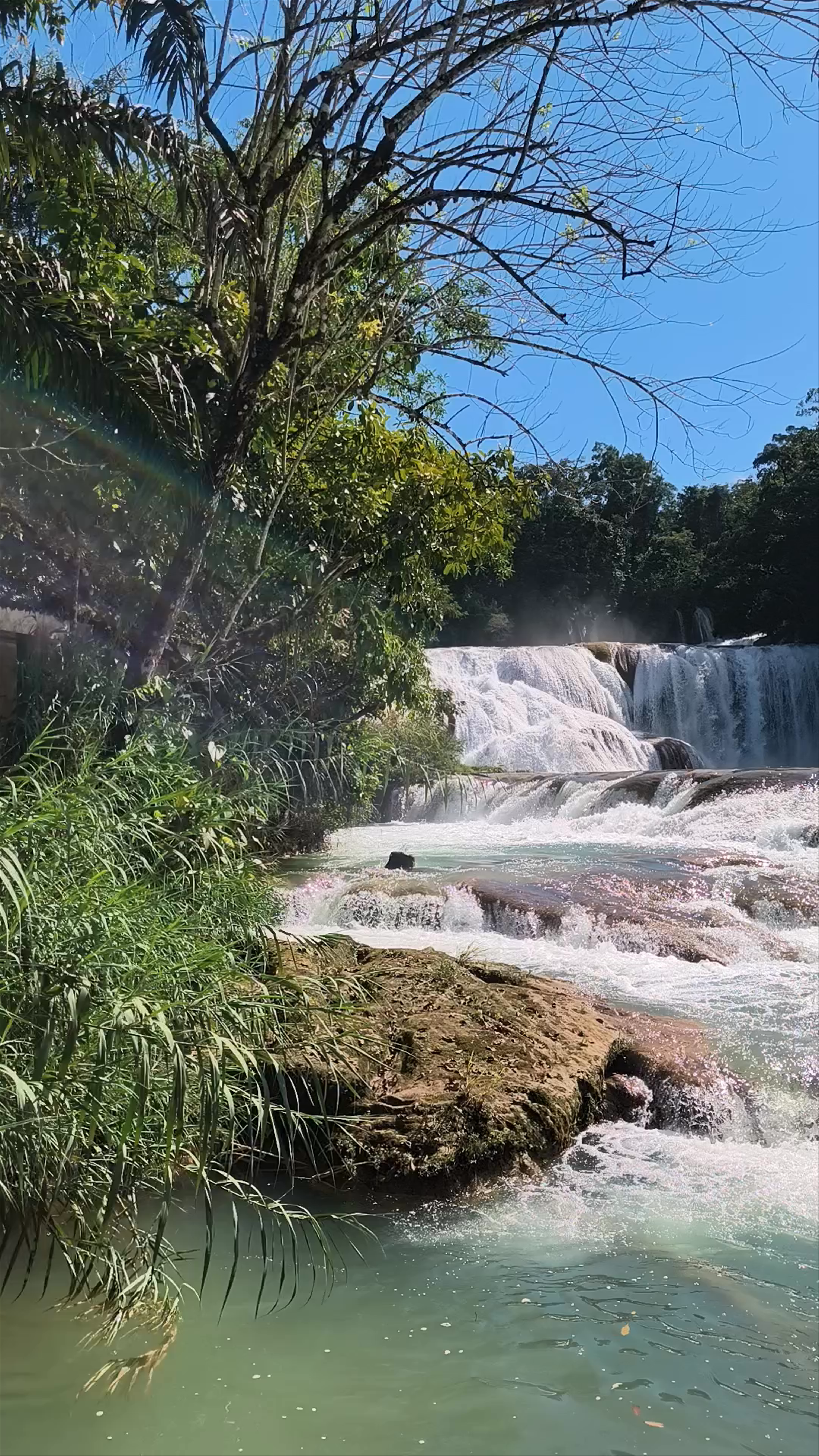 Cascada de Agua Azul